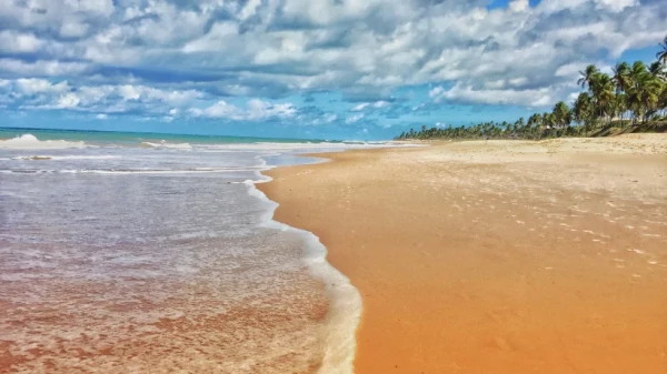 Praia do forte - une des plages à découvrir vers Salvador de Bahia