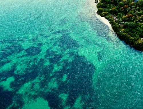 Salvador de Bahia : 7 plages paradisiaques à découvrir