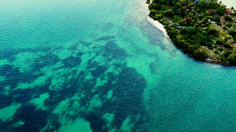 Salvador de Bahia - 7 plages paradisiaques à découvrir